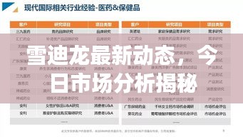 雪迪龙最新动态，今日市场分析揭秘