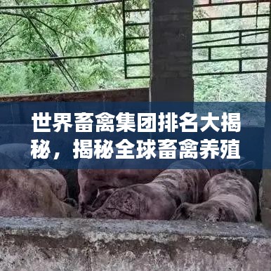 世界畜禽集团排名大揭秘，揭秘全球畜禽养殖巨头榜单