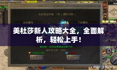 美杜莎新人攻略大全，全面解析，轻松上手！