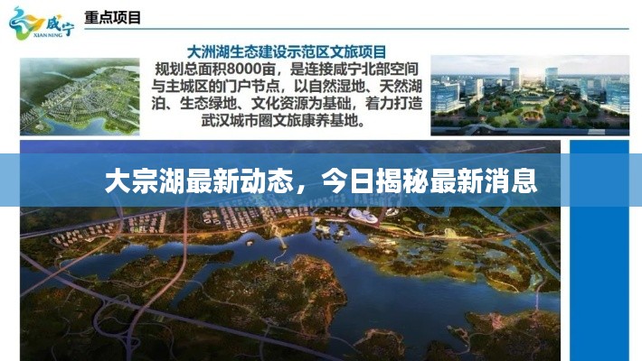 大宗湖最新动态，今日揭秘最新消息