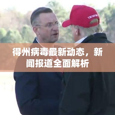得州病毒最新动态，新闻报道全面解析
