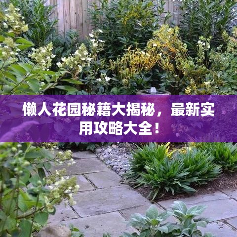 懒人花园秘籍大揭秘，最新实用攻略大全！