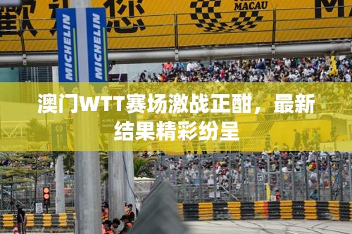 澳门WTT赛场激战正酣，最新结果精彩纷呈