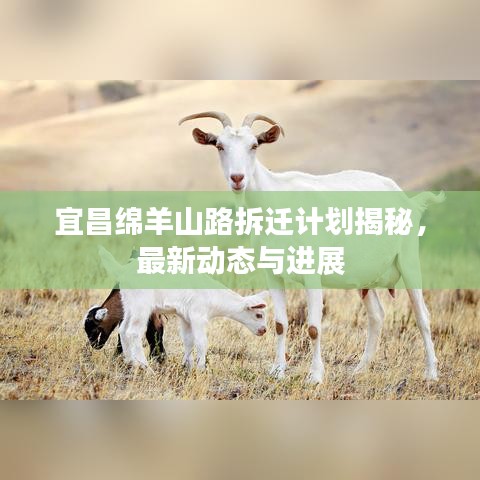 宜昌绵羊山路拆迁计划揭秘，最新动态与进展