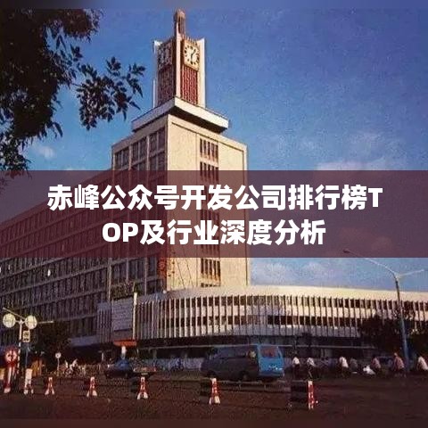 飞龙在天