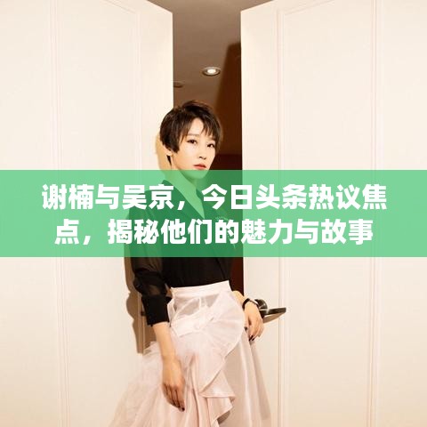 谢楠与吴京，今日头条热议焦点，揭秘他们的魅力与故事