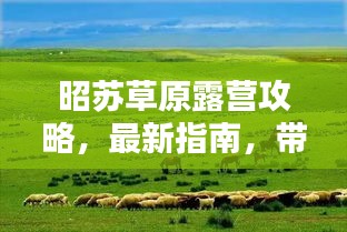 昭苏草原露营攻略，最新指南，带你玩转草原露营！