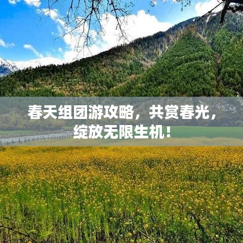 春天组团游攻略，共赏春光，绽放无限生机！