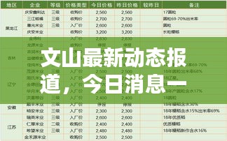 文山最新动态报道，今日消息一网打尽！