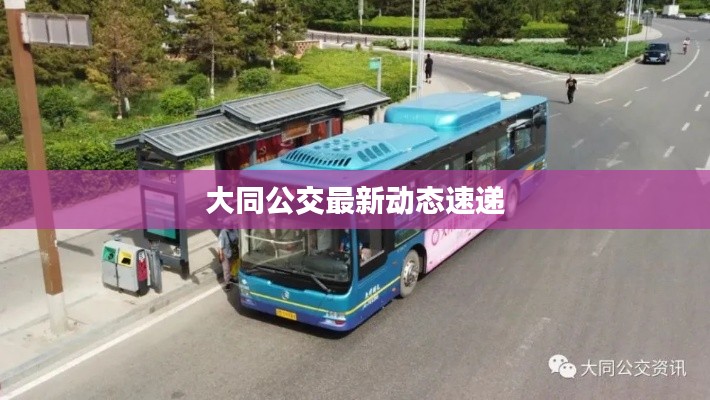 大同公交最新动态速递