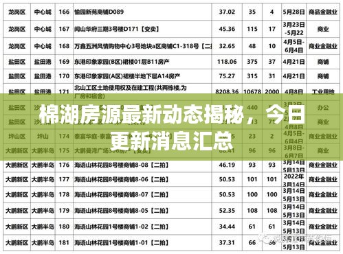 棉湖房源最新动态揭秘，今日更新消息汇总