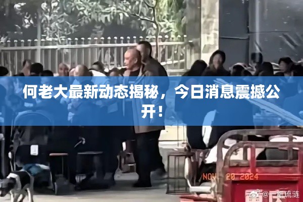 何老大最新动态揭秘，今日消息震撼公开！