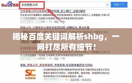 揭秘百度关键词解析shbg，一网打尽所有细节！