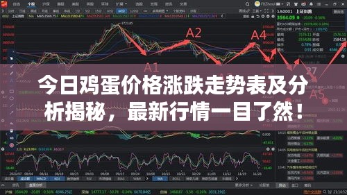 今日鸡蛋价格涨跌走势表及分析揭秘，最新行情一目了然！
