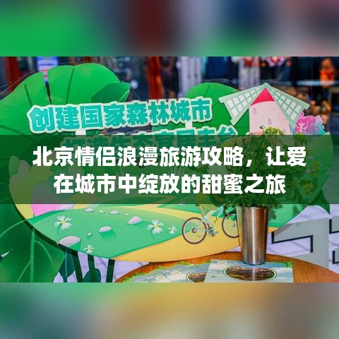 北京情侣浪漫旅游攻略，让爱在城市中绽放的甜蜜之旅