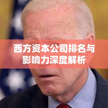 西方资本公司排名与影响力深度解析