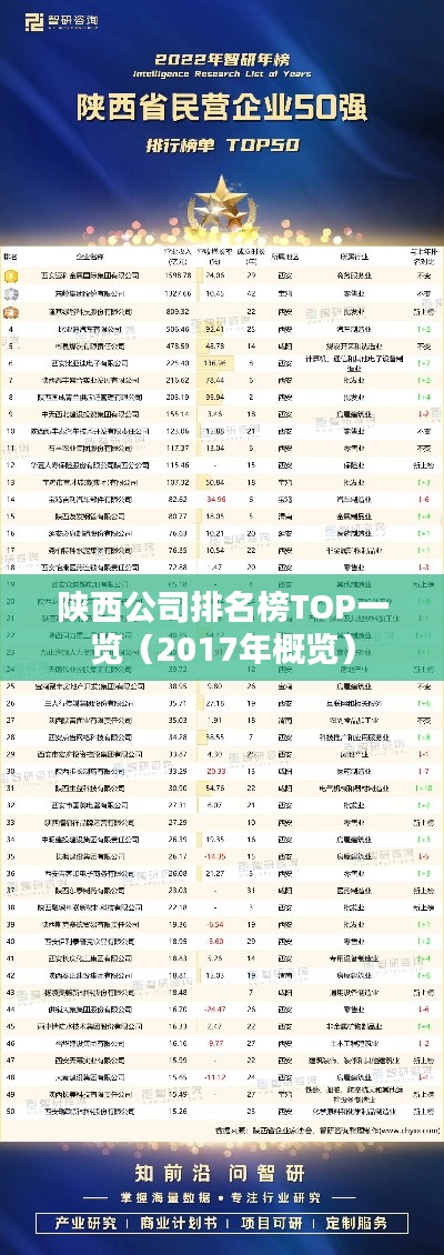 陕西公司排名榜TOP一览（2017年概览）