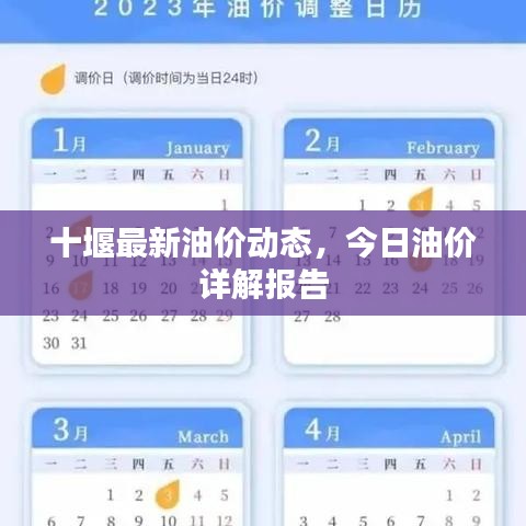 十堰最新油价动态，今日油价详解报告