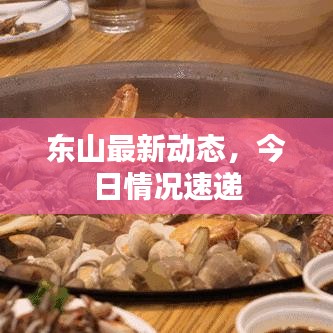 东山最新动态，今日情况速递