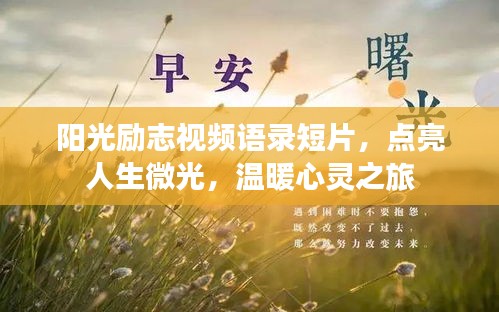 阳光励志视频语录短片，点亮人生微光，温暖心灵之旅