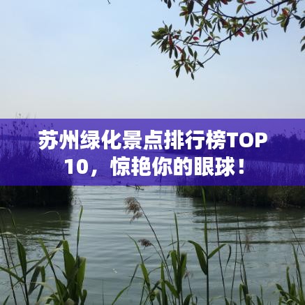 苏州绿化景点排行榜TOP10，惊艳你的眼球！