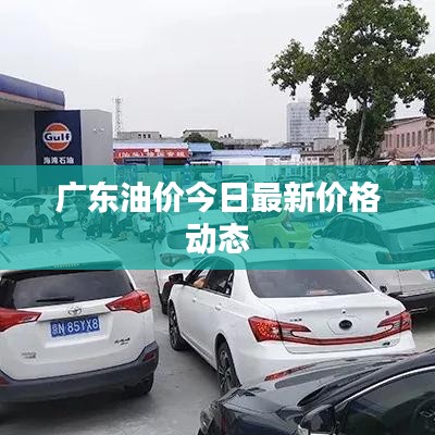 广东油价今日最新价格动态