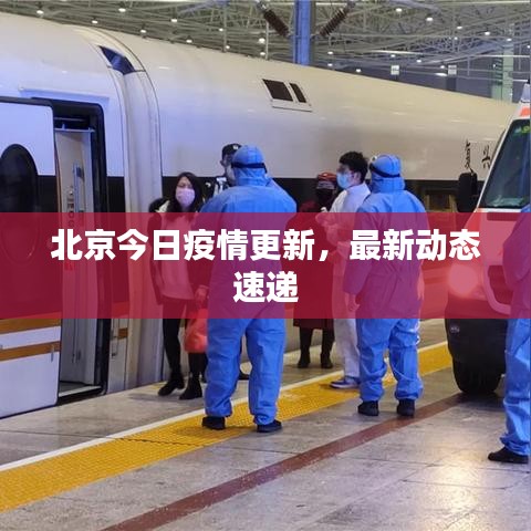 北京今日疫情更新，最新动态速递