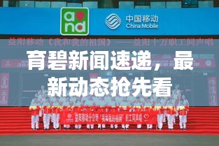 铁石心肠
