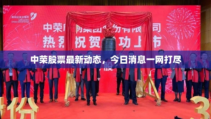 一毫不苟