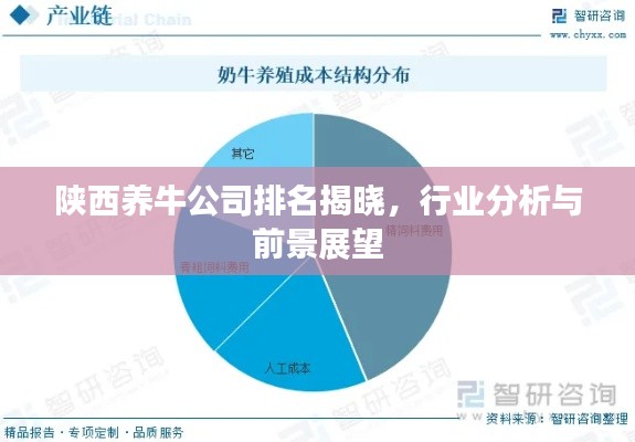 陕西养牛公司排名揭晓，行业分析与前景展望