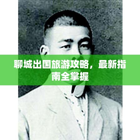 聊城出国旅游攻略，最新指南全掌握