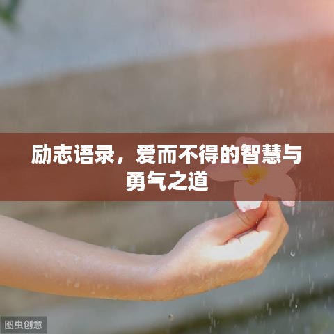 励志语录，爱而不得的智慧与勇气之道