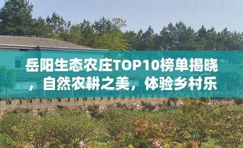 岳阳生态农庄TOP10榜单揭晓，自然农耕之美，体验乡村乐趣