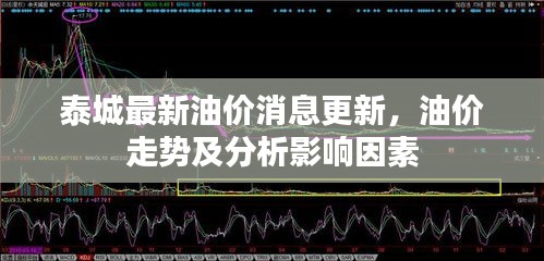 泰城最新油价消息更新，油价走势及分析影响因素