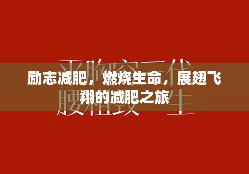 励志减肥，燃烧生命，展翅飞翔的减肥之旅
