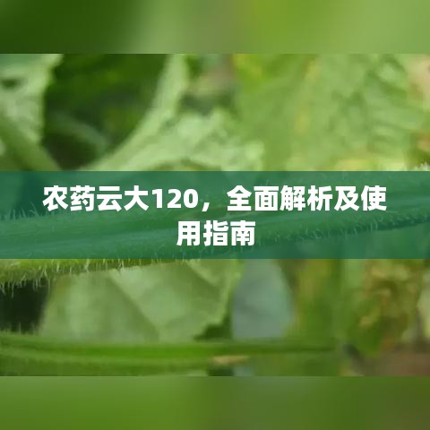 农药云大120，全面解析及使用指南