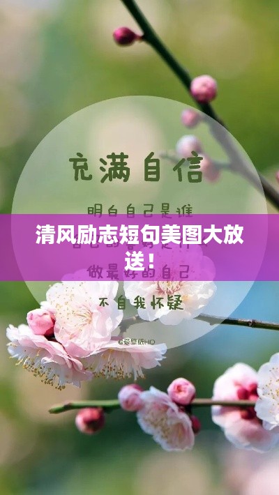 清风励志短句美图大放送！