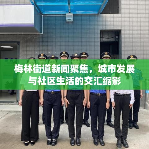 梅林街道新闻聚焦，城市发展与社区生活的交汇缩影