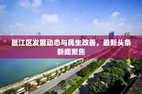 腾龙换鸟