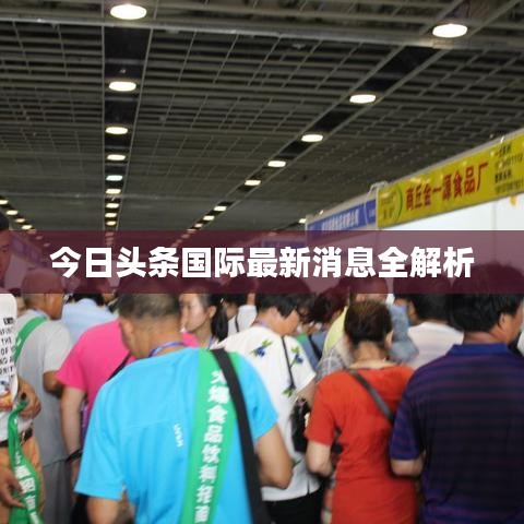 今日头条国际最新消息全解析