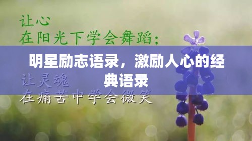 明星励志语录，激励人心的经典语录