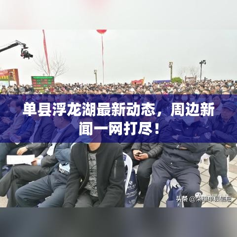 单县浮龙湖最新动态，周边新闻一网打尽！