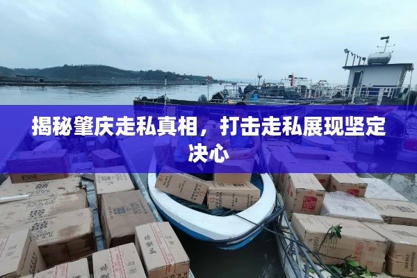 揭秘肇庆走私真相，打击走私展现坚定决心