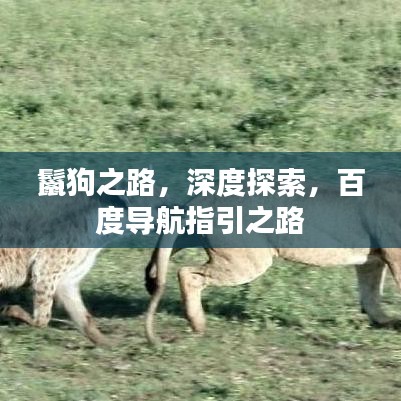 鬣狗之路，深度探索，百度导航指引之路