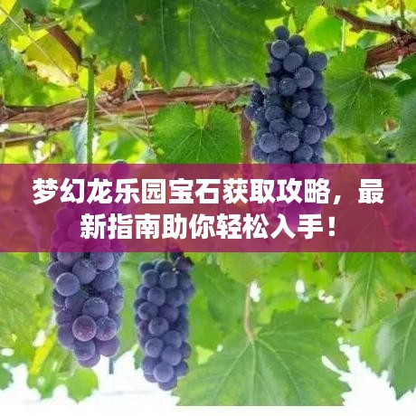 梦幻龙乐园宝石获取攻略，最新指南助你轻松入手！