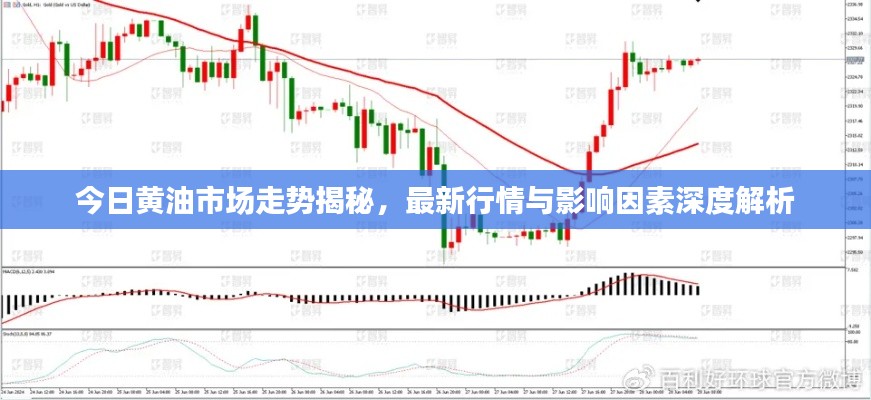 今日黄油市场走势揭秘，最新行情与影响因素深度解析