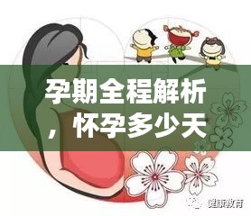 孕期全程解析，怀孕多少天会分娩？