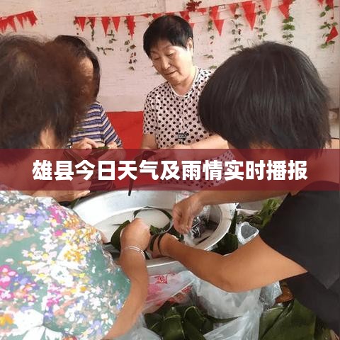 雄县今日天气及雨情实时播报