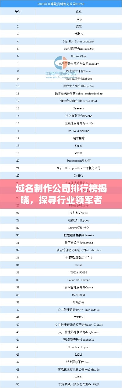 域名制作公司排行榜揭晓，探寻行业领军者