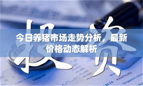 今日养猪市场走势分析，最新价格动态解析